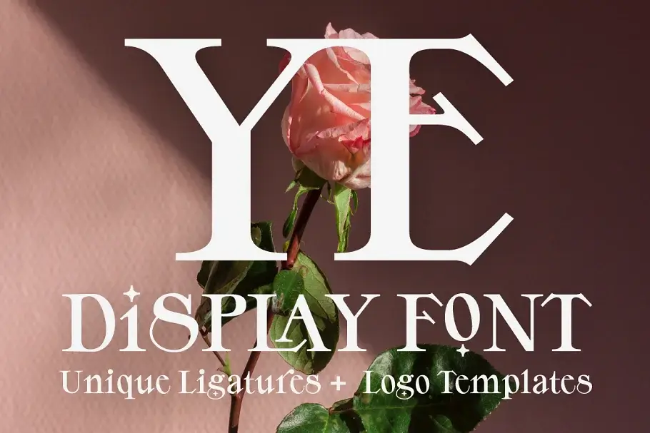 YE Ligature Free Bold Contemporary Serif Display Font