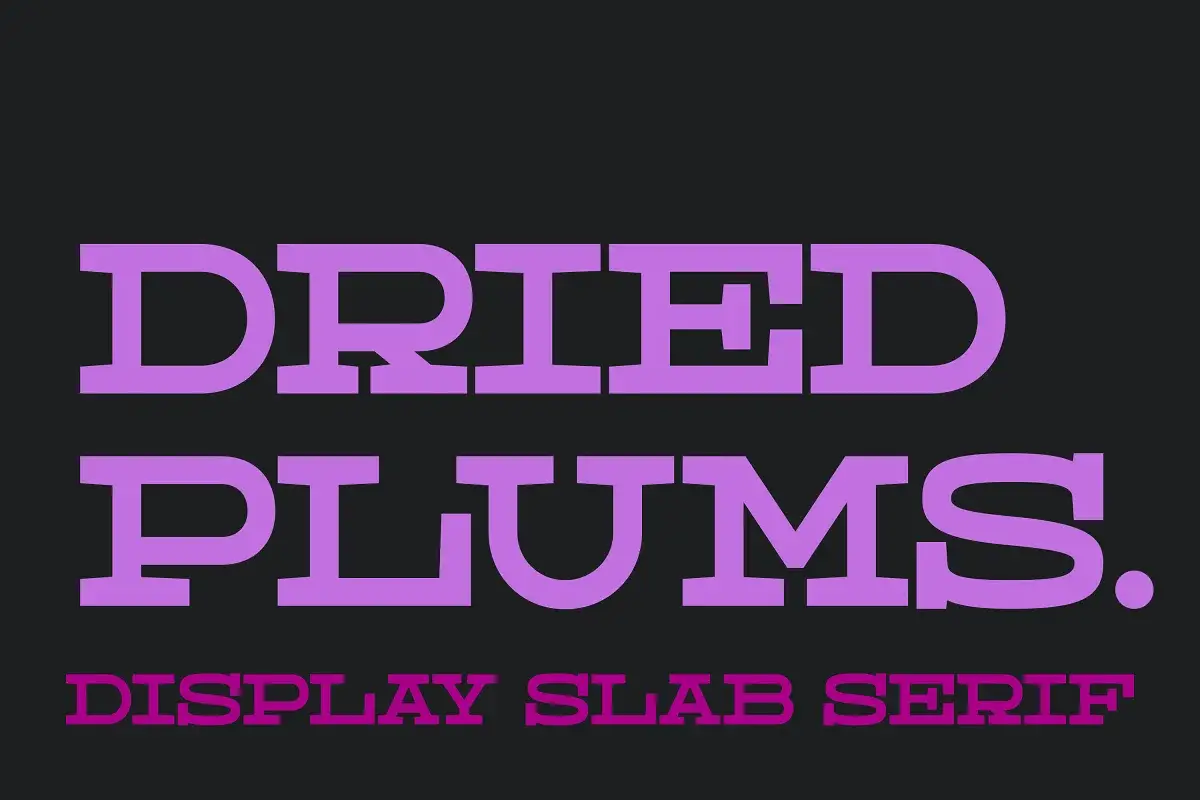 Dried Plums Free Display Slab Serif Font