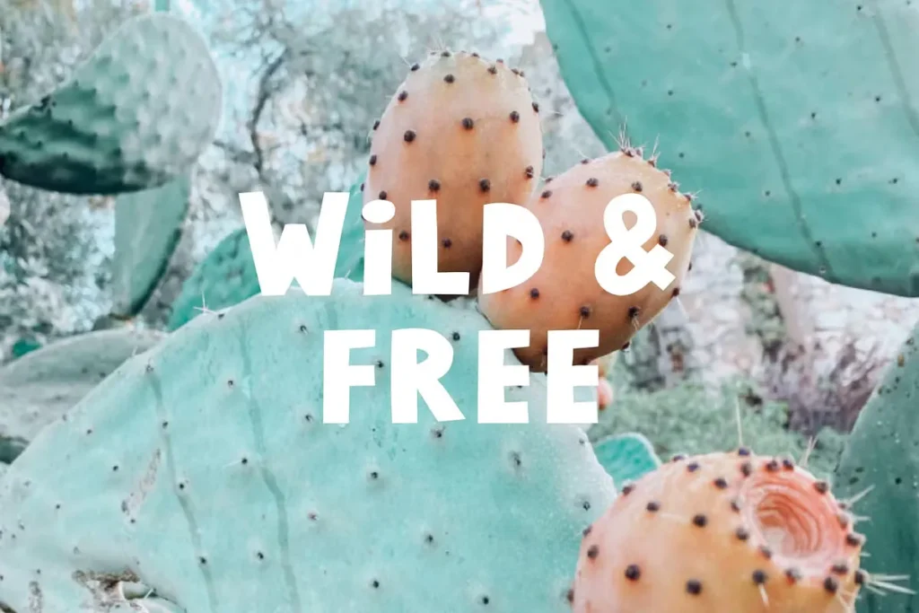 Choco Chip Free Playful Handwritten Font