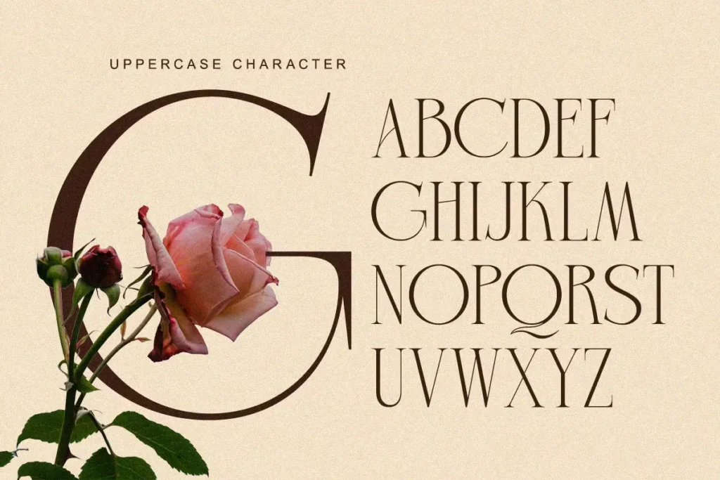 Charnoir Free Modern Elegant Luxury Font