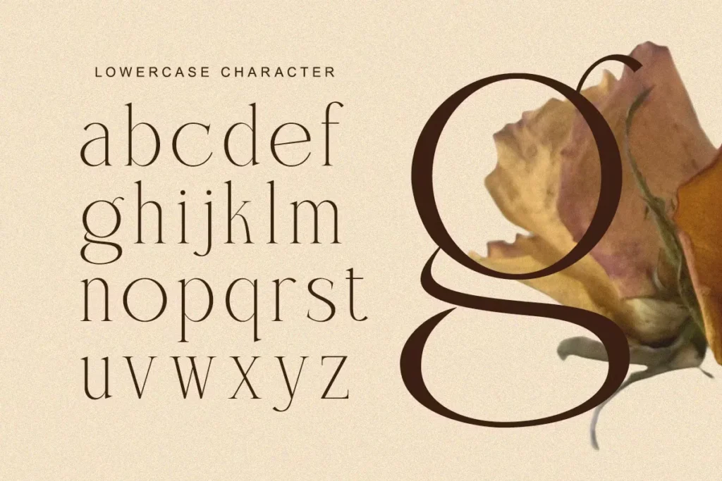 Charnoir Free Modern Elegant Luxury Font